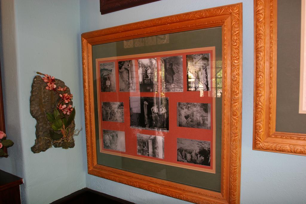 Power'S Mansion Bed and Breakfast Auburn Εξωτερικό φωτογραφία
